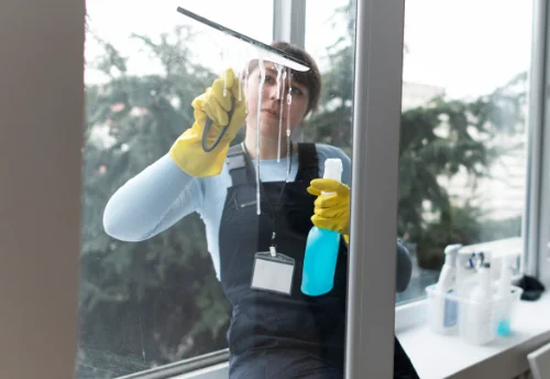Nettoyage de vitres intérieures et extérieures à Thubœuf